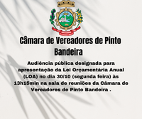 Audiência Pública